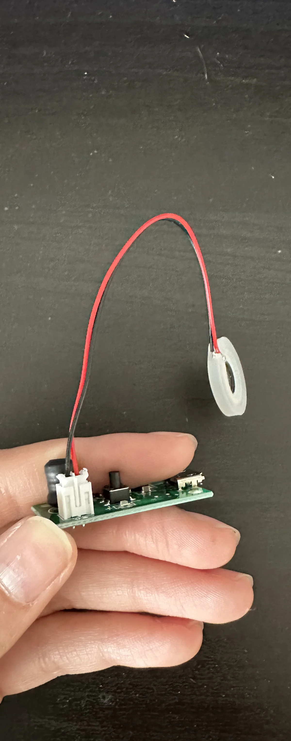 Diffuser circuit board and mist disc held in hand